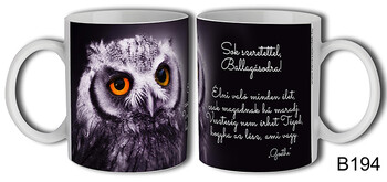 Bögre B194 Sok szeretettel Ballagásodra! 3dl