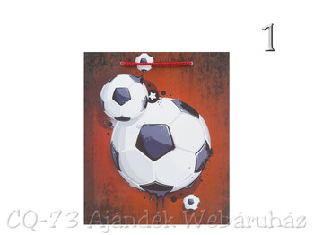 CQ1911 Ajándéktasak férfias közép 18x21cm 3f