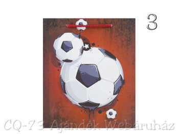 CQ1912 Ajándéktasak férfias nagy 28x34cm 3f