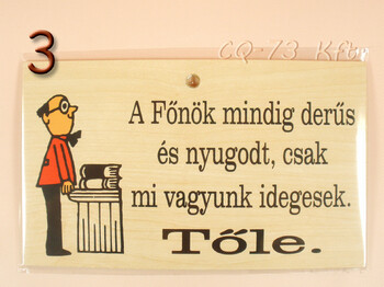 Fatábla okoskodó 18x11cm