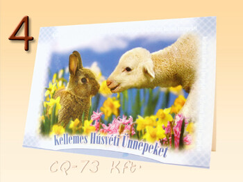 Borítékos képeslap 9