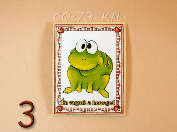 Fa hűtőmágnes vegyes