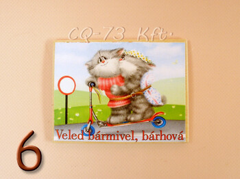 Fa hűtőmágnes vegyes