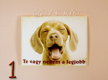 Fa hűtőmágnes vegyes