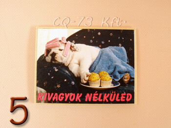 Fa hűtőmágnes vegyes