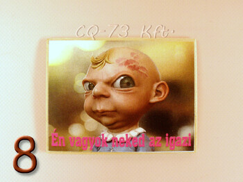 Fa hűtőmágnes vegyes