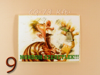 Fa hűtőmágnes vegyes