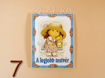 Fa hűtőmágnes vegyes
