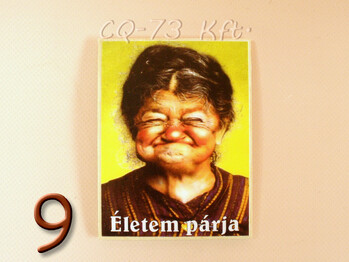 Fa hűtőmágnes vegyes