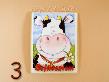 Fa hűtőmágnes vegyes