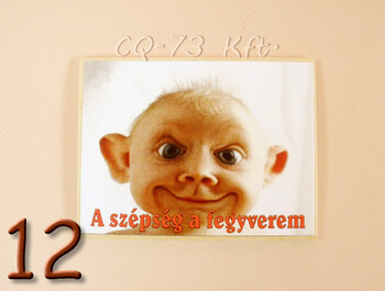 Fa hűtőmágnes vegyes