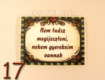 Fa hűtőmágnes vegyes