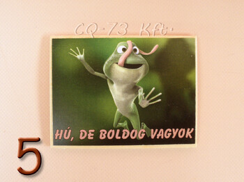 Fa hűtőmágnes vegyes